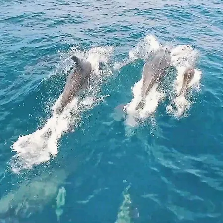 Boracay By Algarve Vacation * אלבופיירה