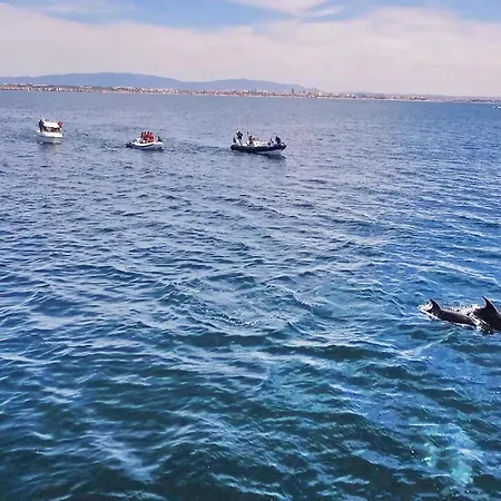 Boracay By Algarve Vacation וילה